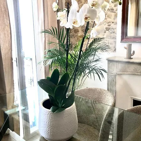 Manon B&B Old Antibes 公寓