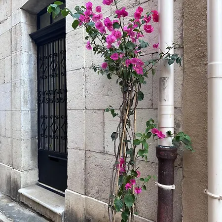 Maison Manon- Old Antibes Appartamento *