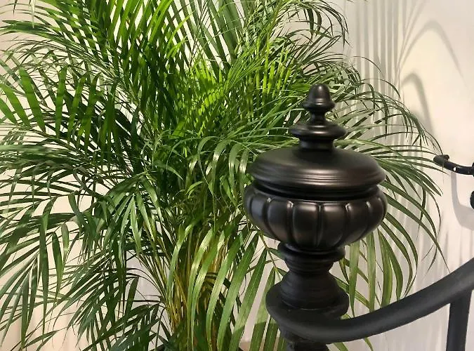 L De Manon, Centre Historique Du Vieil * Antibes