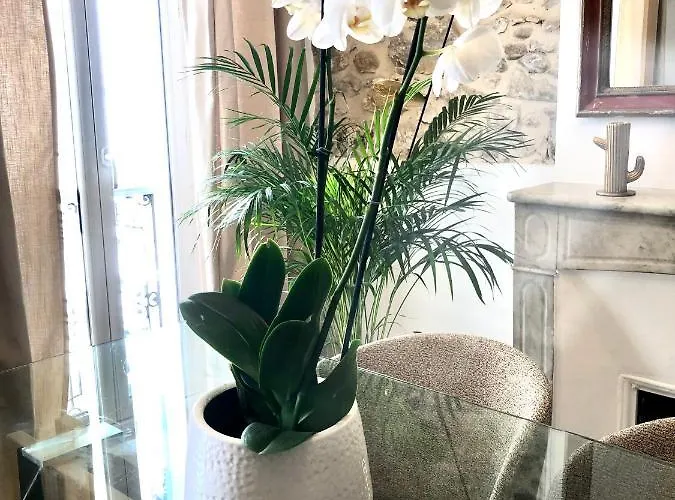 L De Manon, Centre Historique Du Vieil Apartamento