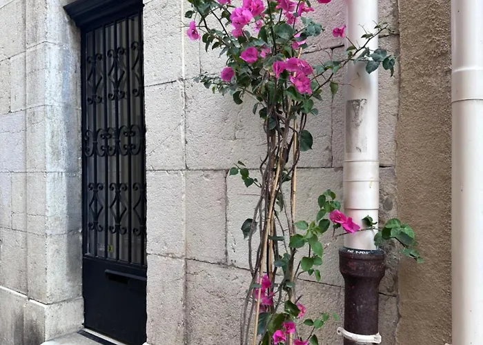 L De Manon, Centre Historique Du Vieil Apartamento *